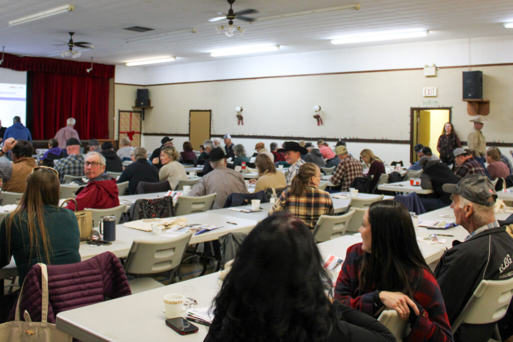 Producers attending the Clearwater County Cattlemen's Day event in Leslieville Alberta learning about the Madigan Squeeze technique